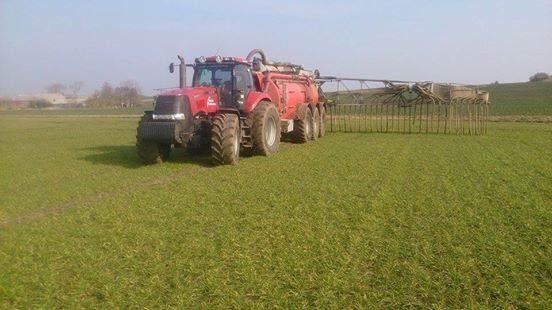 Case IH Magnum 310 billede 12