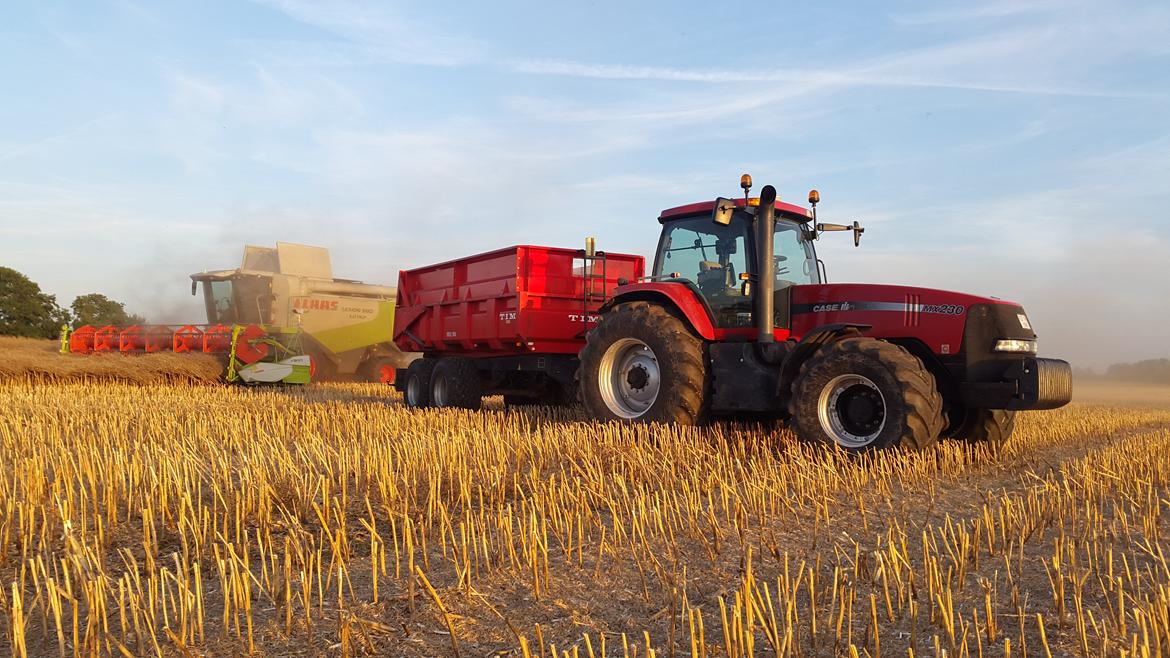 Case IH Magnum 230 billede 1