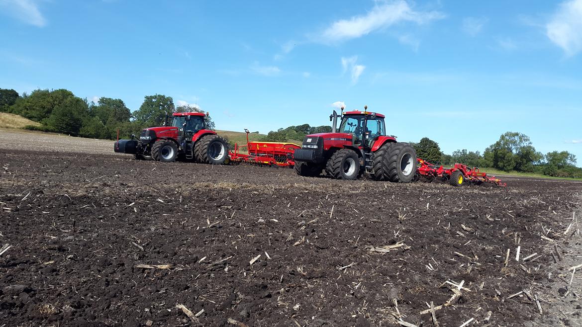 Case IH Magnum 230 billede 11