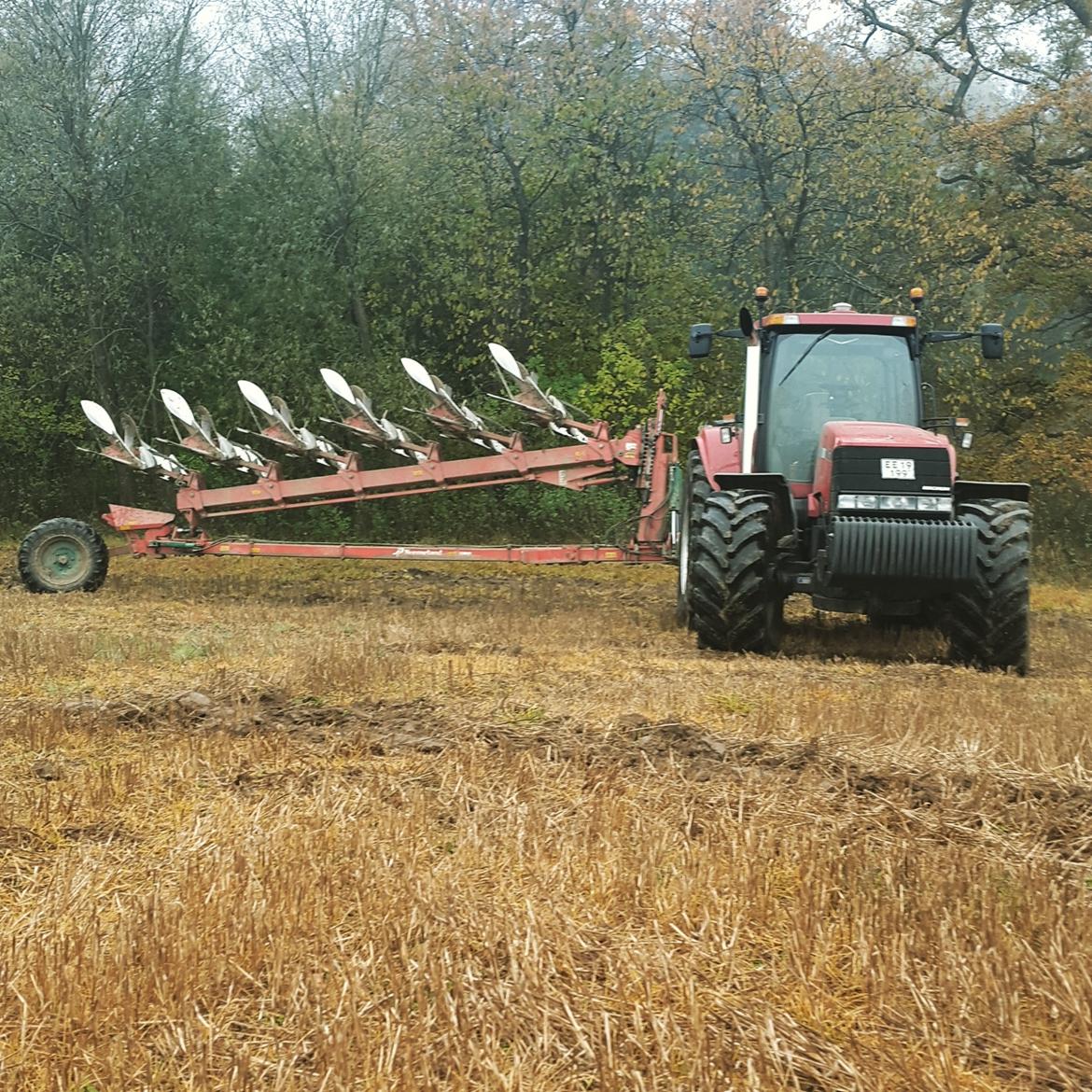 Case IH Magnum 230 billede 5