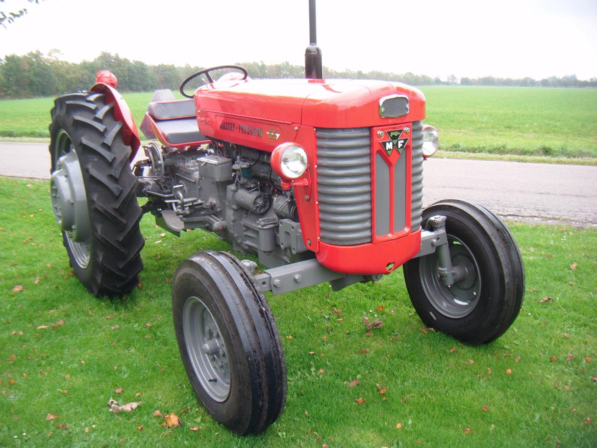 Massey Ferguson 65 MK2 - Billeder af traktorer - Uploaded af Niels B