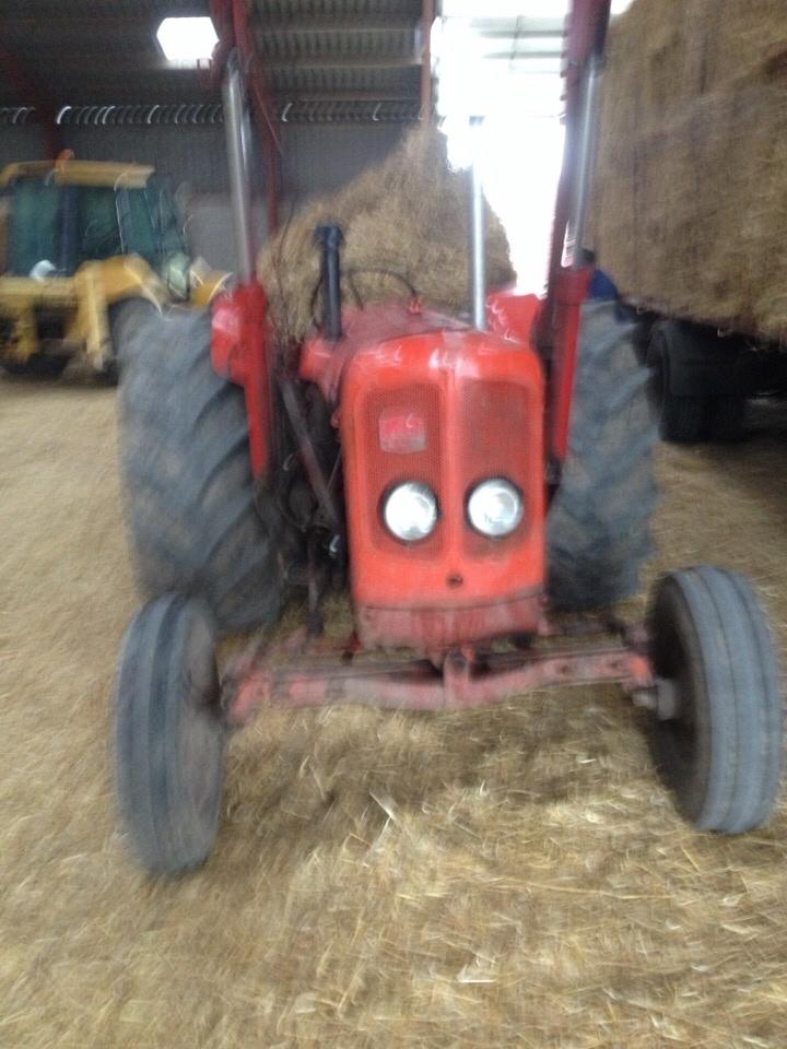 Nuffield 10/60 billede 2