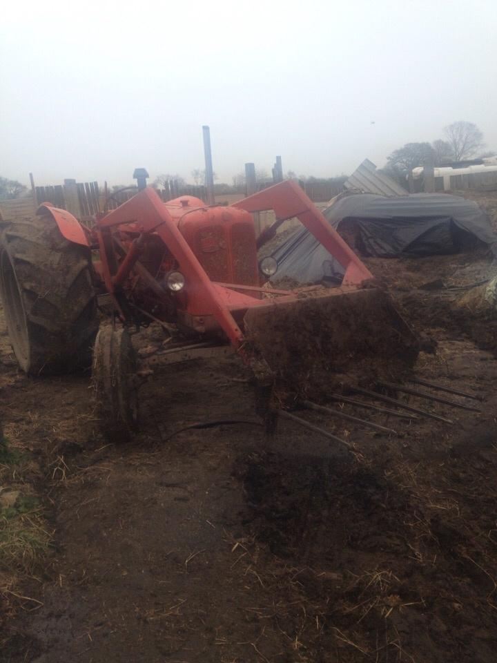 Nuffield 10/60 billede 3