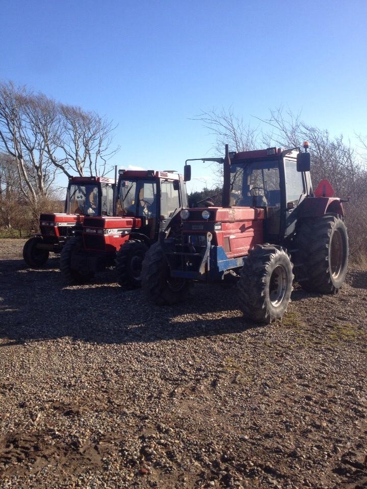 Case IH 685xl billede 33