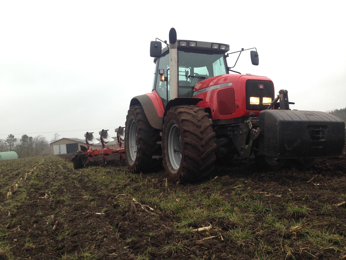 Massey Ferguson 8220 Xtra billede 2