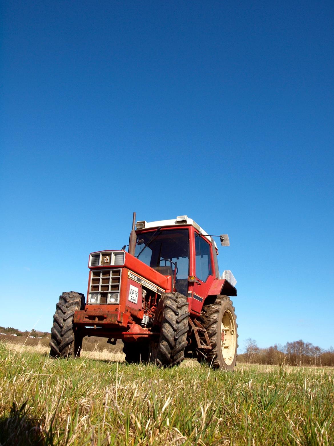 International Harvester 844XL billede 7