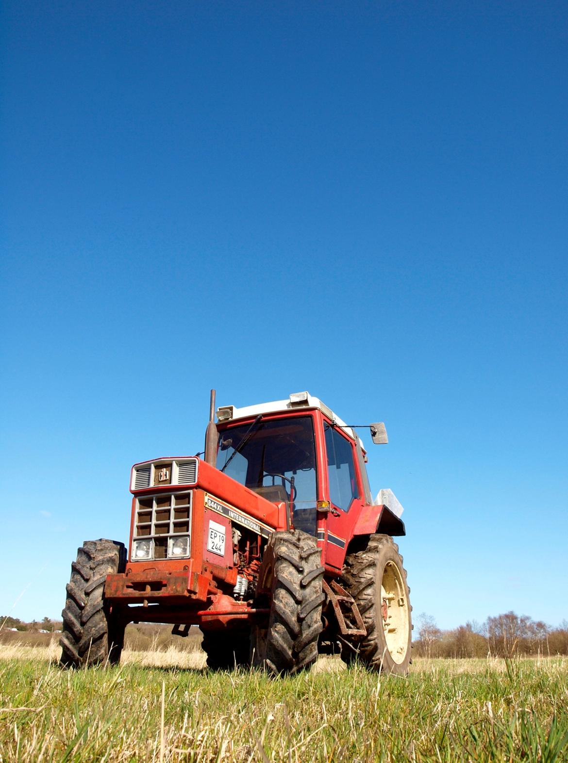 International Harvester 844XL billede 8