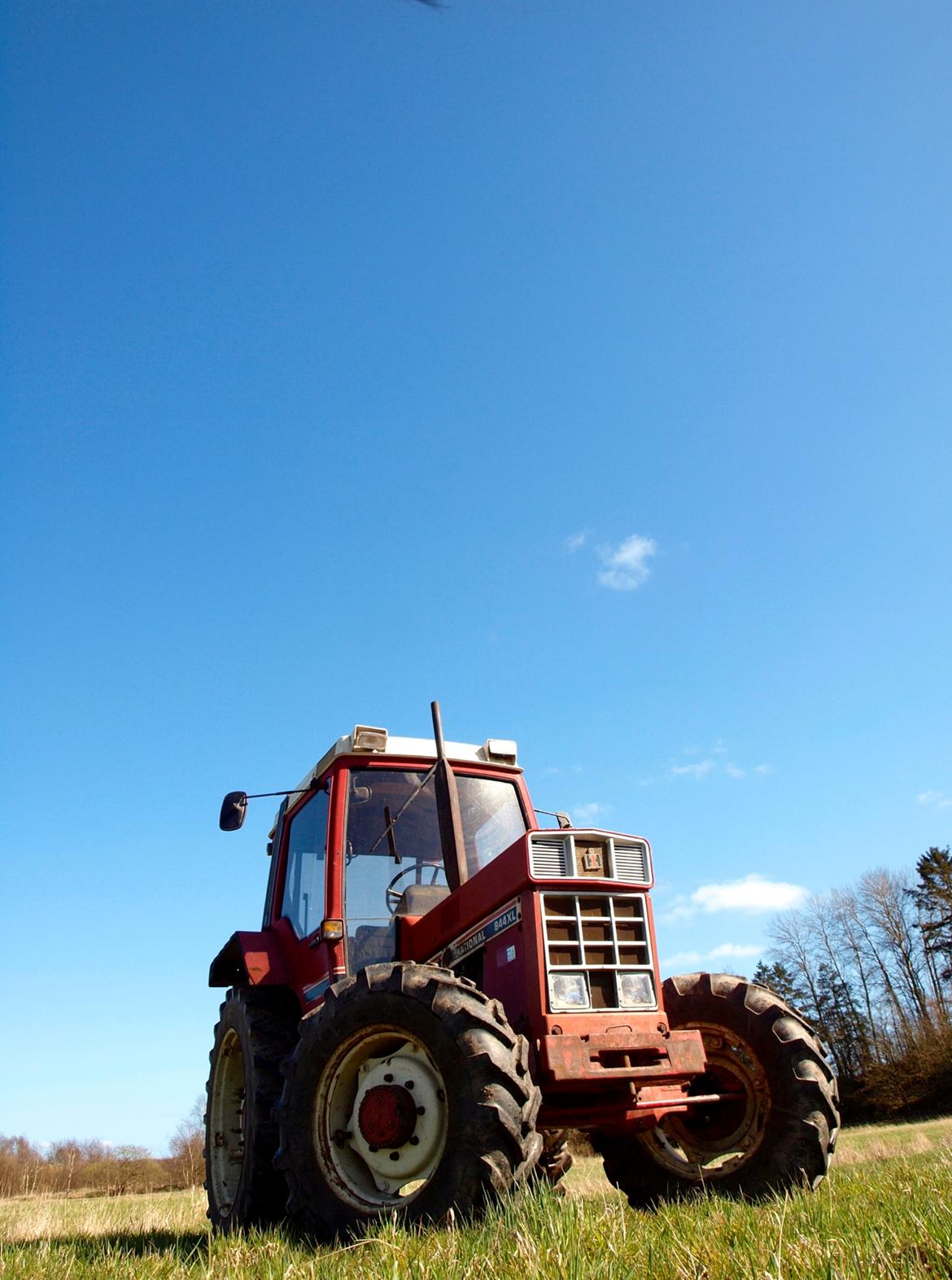 International Harvester 844XL billede 9