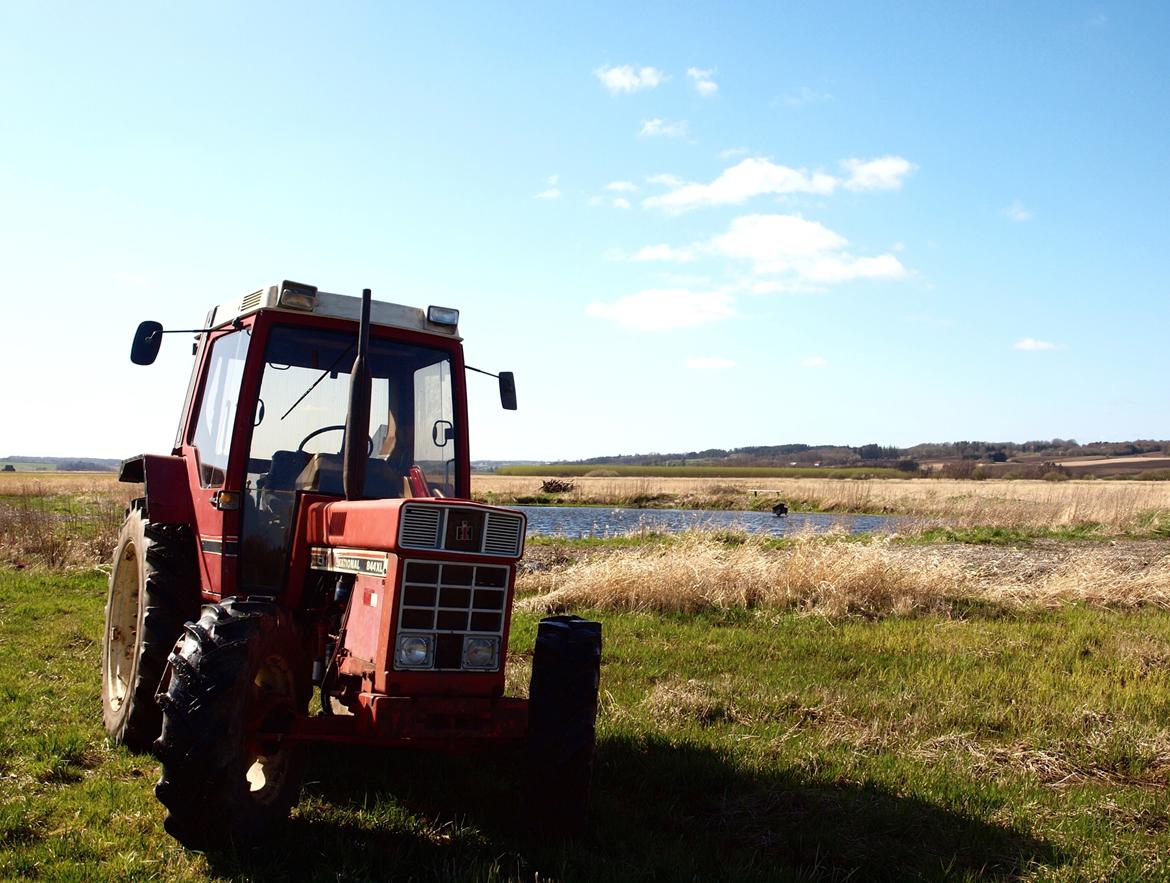 International Harvester 844XL billede 16