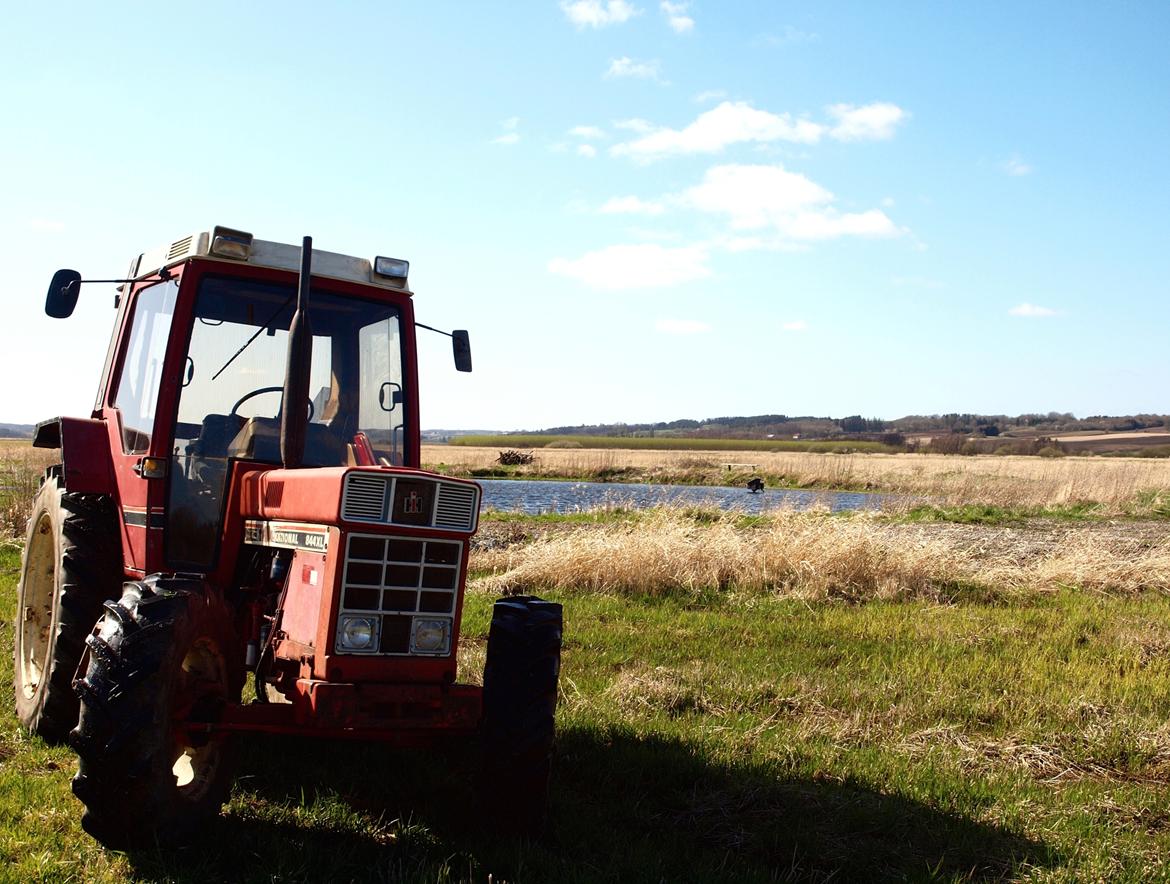 International Harvester 844XL billede 17