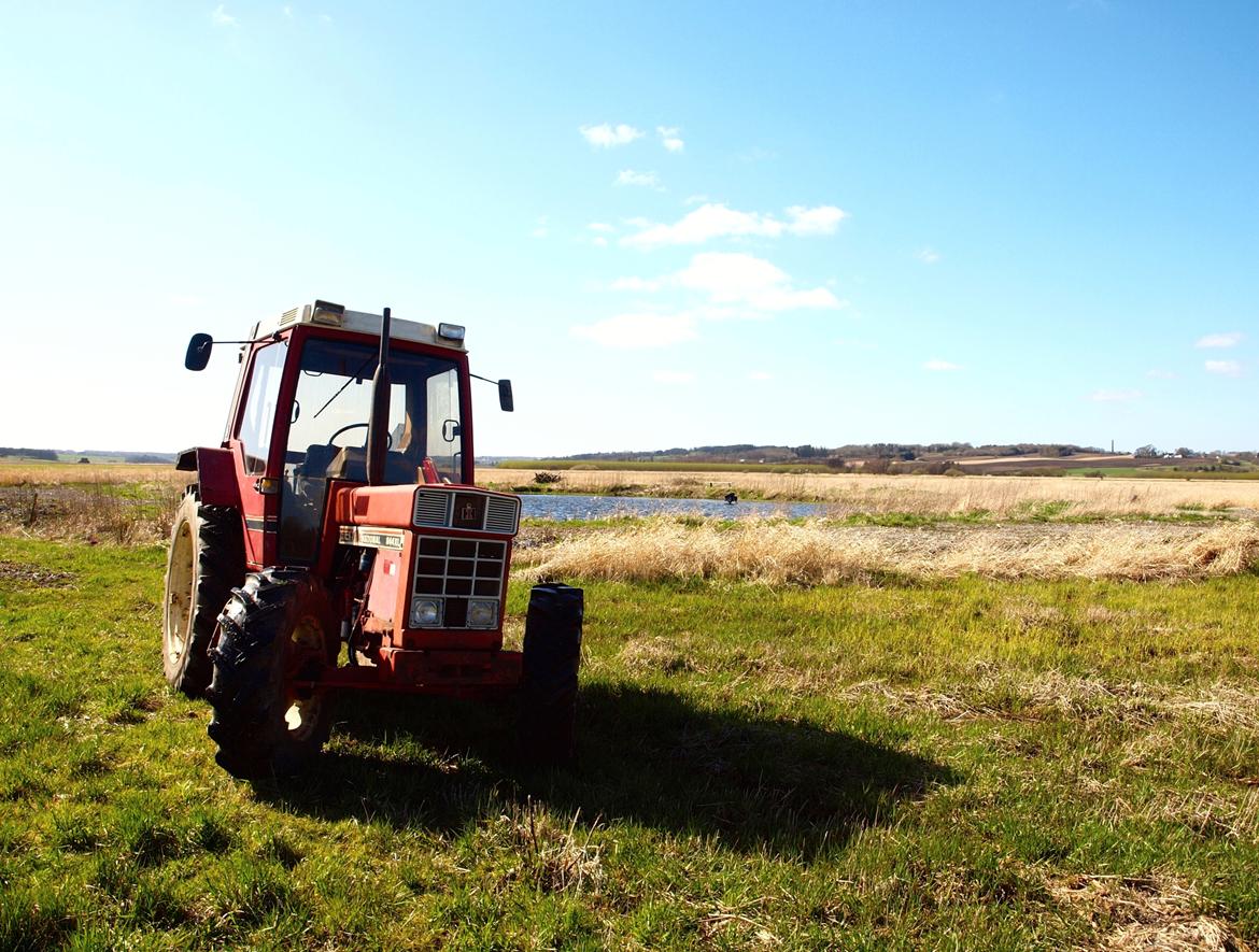 International Harvester 844XL billede 18