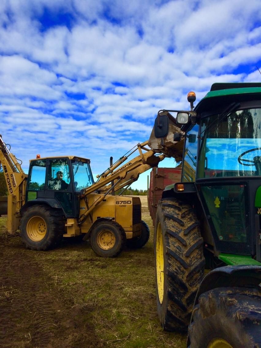 John Deere 3050 - kører mere møg fra køerne billede 9