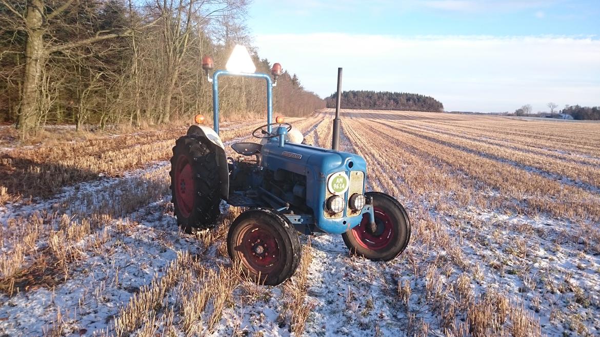 Fordson Dexta  billede 4