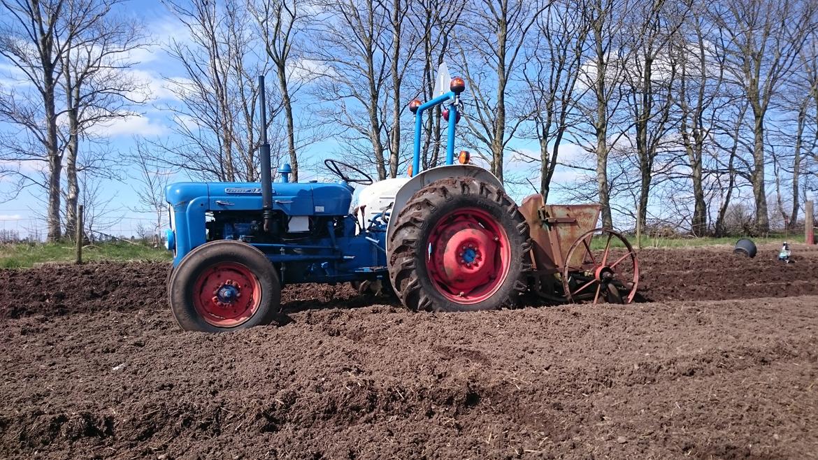 Fordson Dexta  billede 8