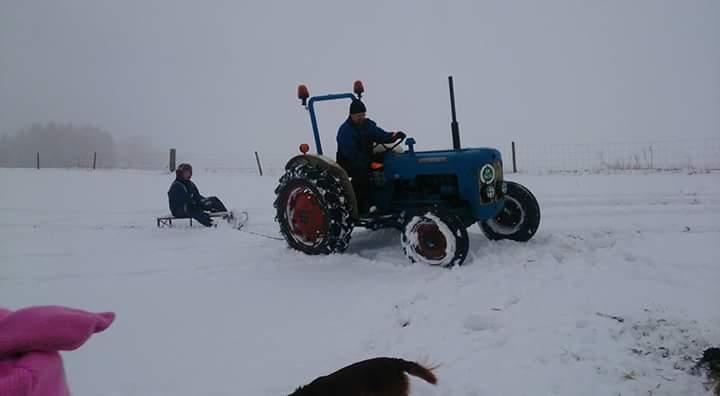 Fordson Dexta  billede 11