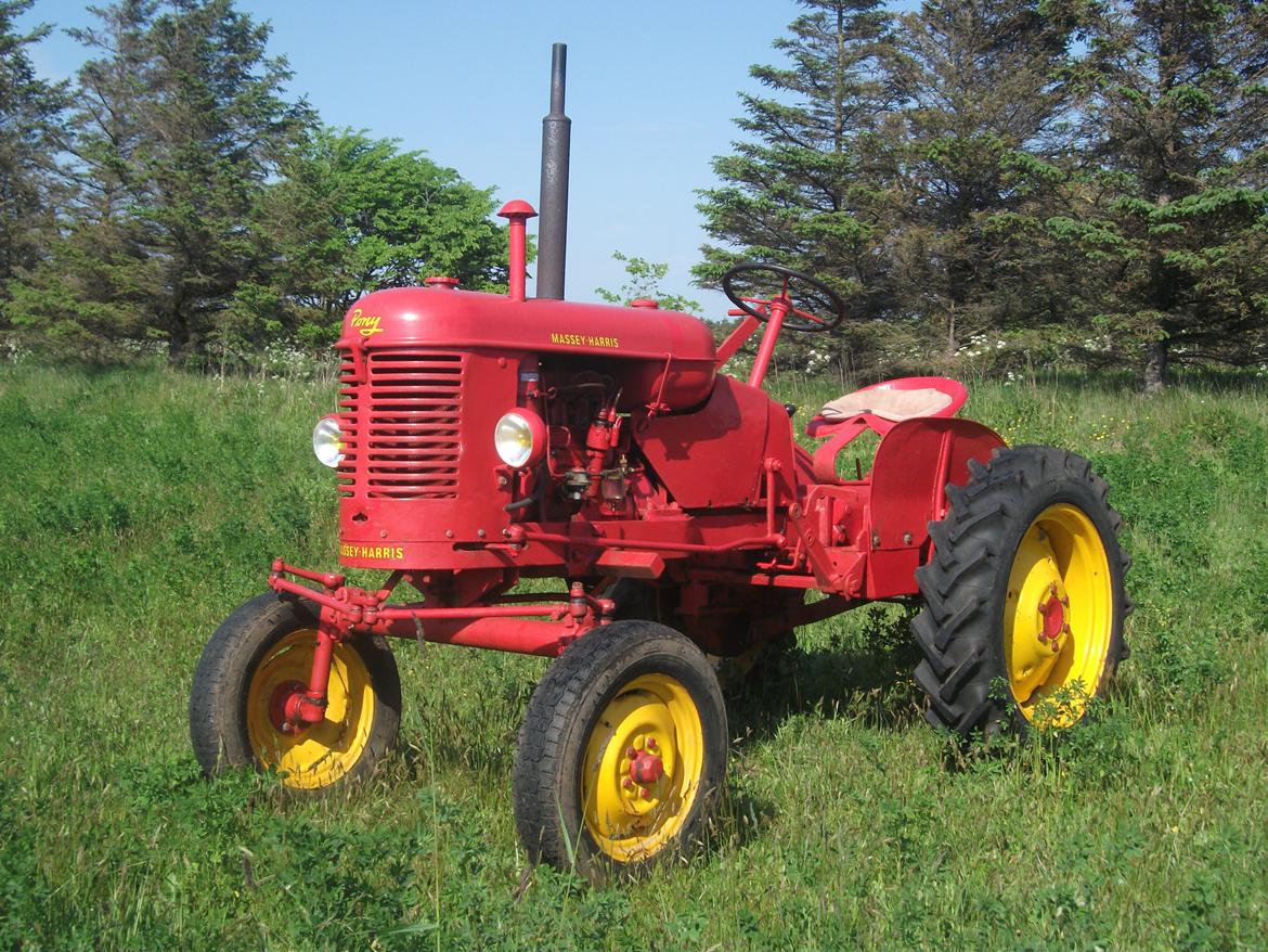 Massey Harris Pony 812 billede 1