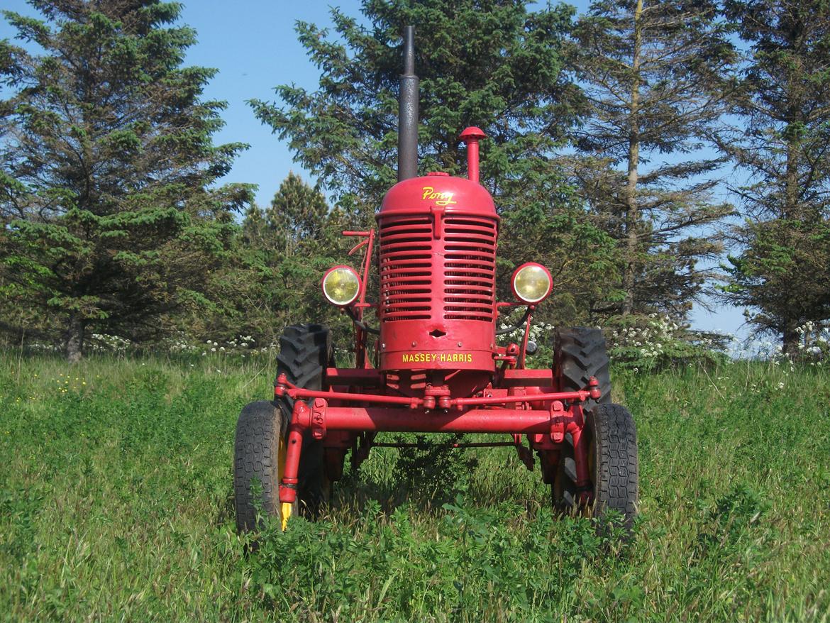 Massey Harris Pony 812 billede 4