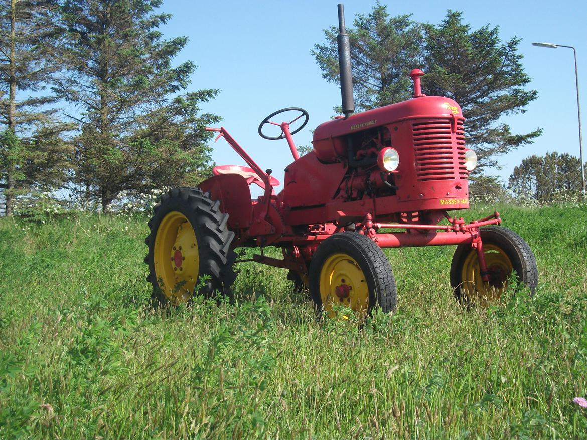 Massey Harris Pony 812 billede 2