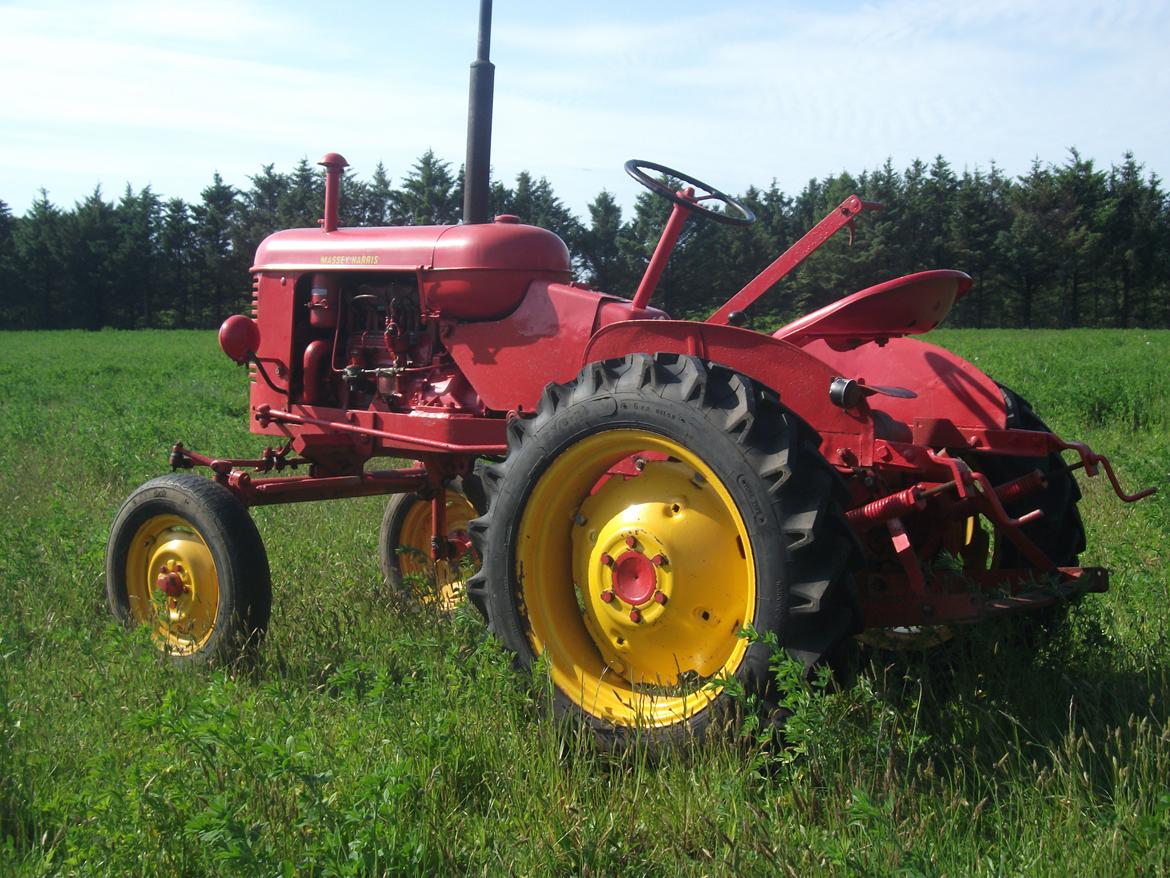 Massey Harris Pony 812 billede 3