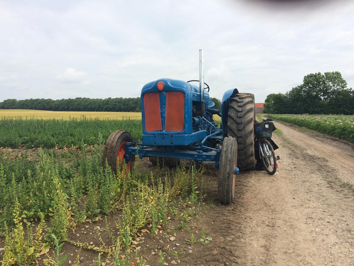 Fordson Fordson major diesel  E1ADDN billede 19