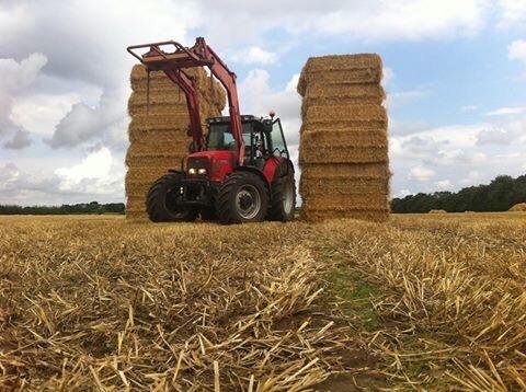 Massey Ferguson 6290 Power Controle billede 16