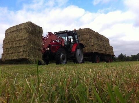 Massey Ferguson 6290 Power Controle billede 17