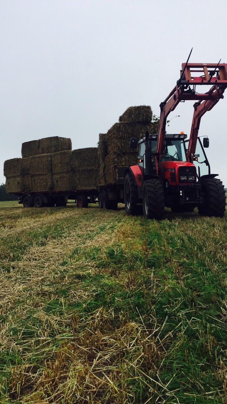 Massey Ferguson 6290 Power Controle billede 18