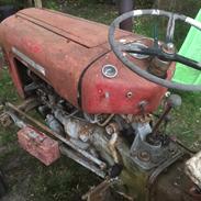 Massey Ferguson 35 Benzin