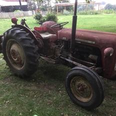 Massey Ferguson 35 Benzin