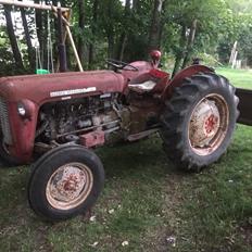 Massey Ferguson 35 Benzin