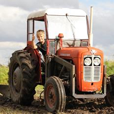 Massey Ferguson MF35