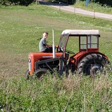 Massey Ferguson MF35