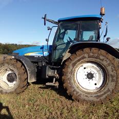 New Holland TM 155