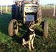David Brown 880 selectamatic