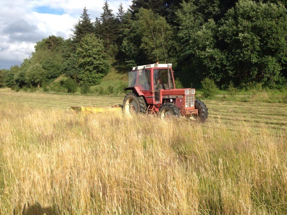 International Harvester 844XL billede 20