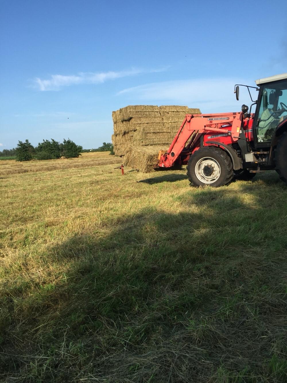 Massey Ferguson 6290 Power Controle billede 33