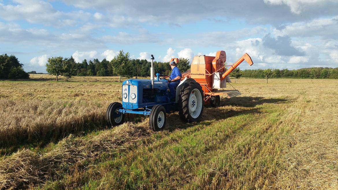 Fordson Super Major billede 3