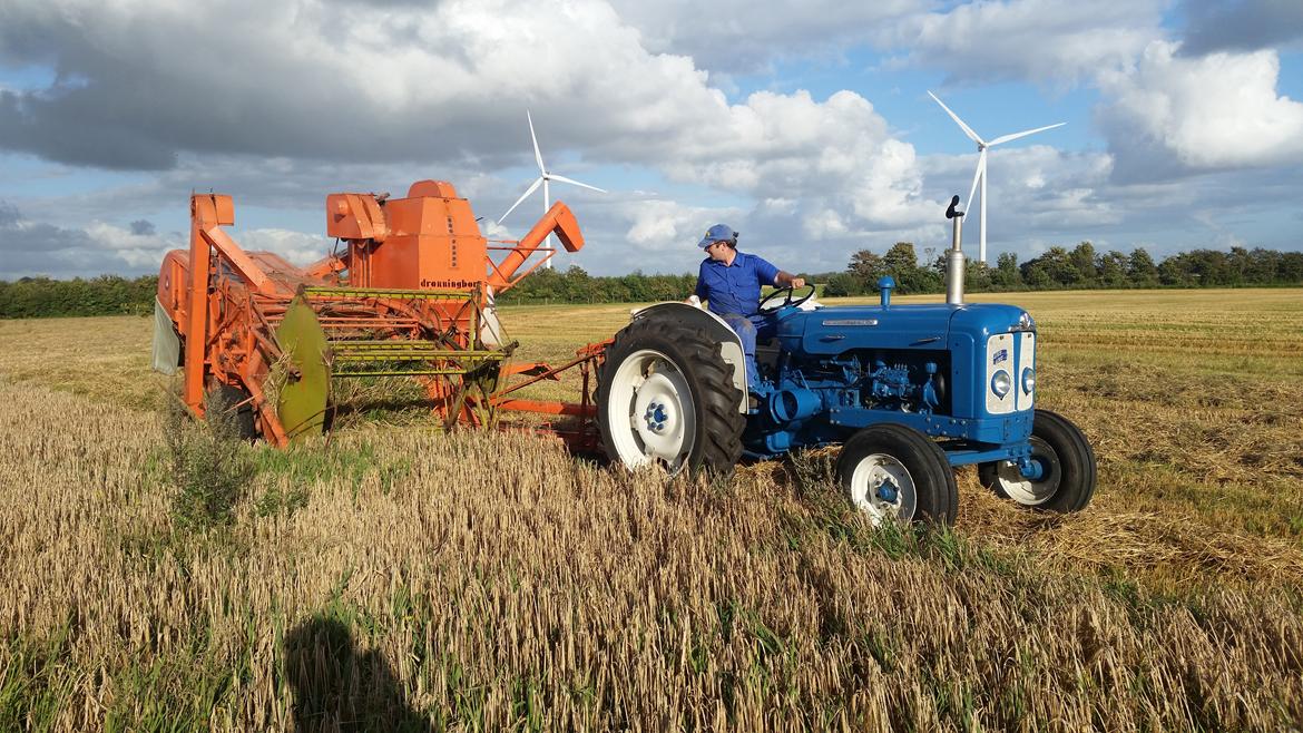 Fordson Super Major billede 5