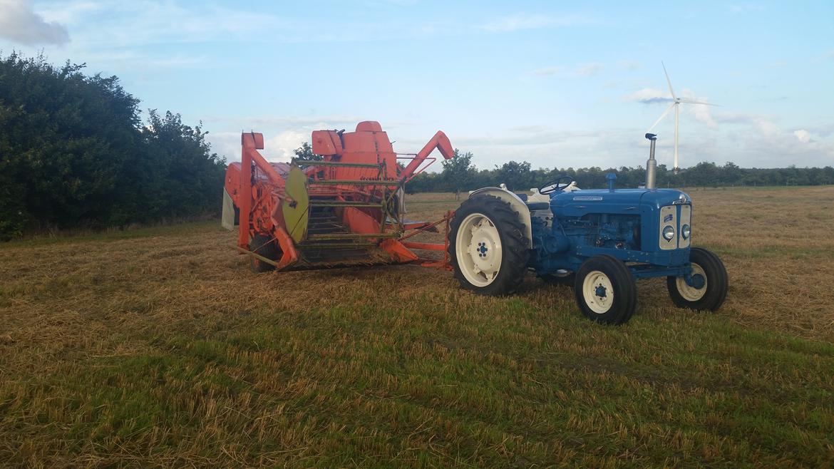 Fordson Super Major billede 6