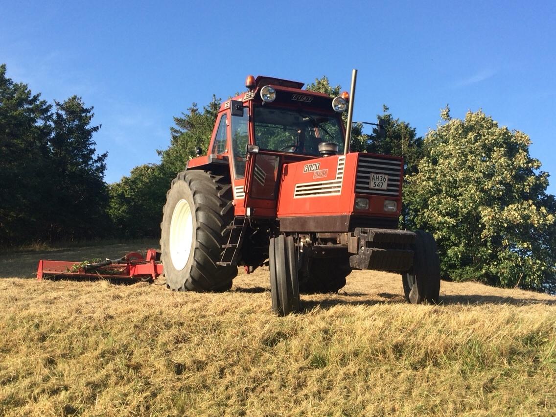 Fiat 1180H billede 1