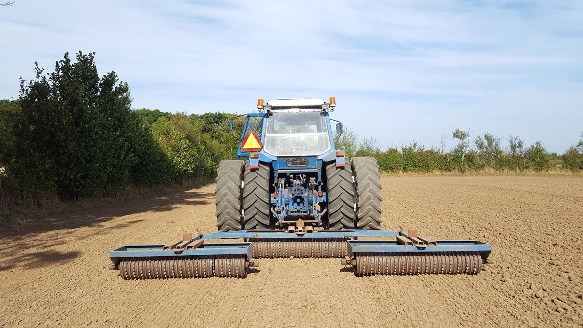 Ford 6600 billede 11