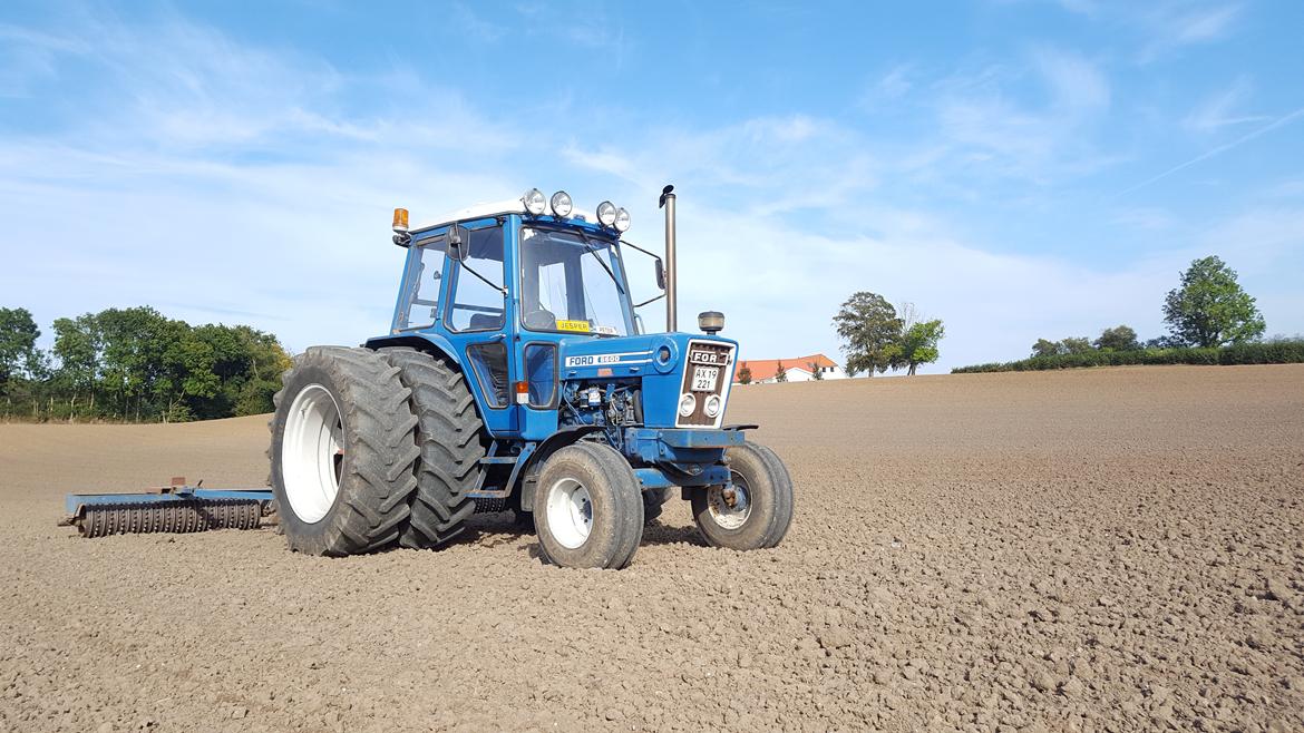 Ford 6600 billede 12