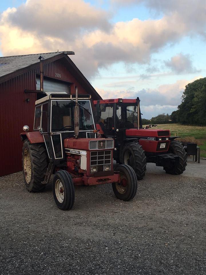 International Harvester 844-S - De 2 store drenge  billede 3