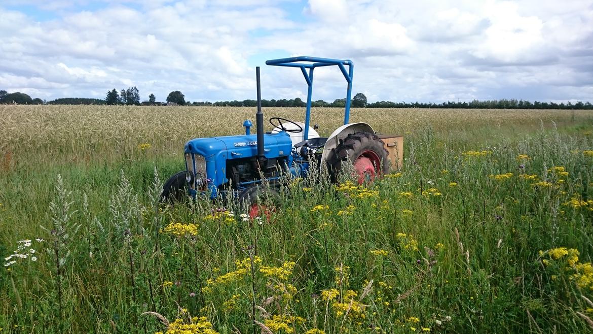 Fordson Dexta  billede 12