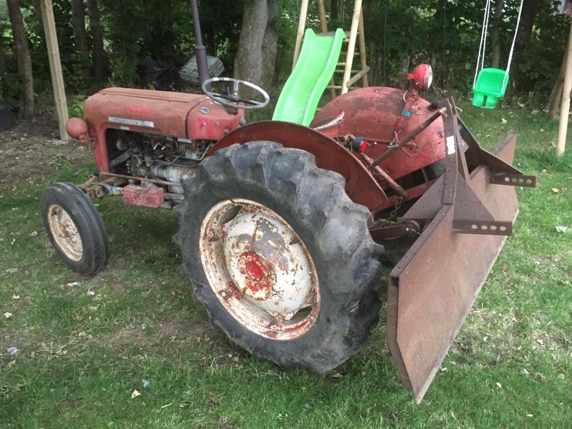 Massey Ferguson 35 Benzin billede 4