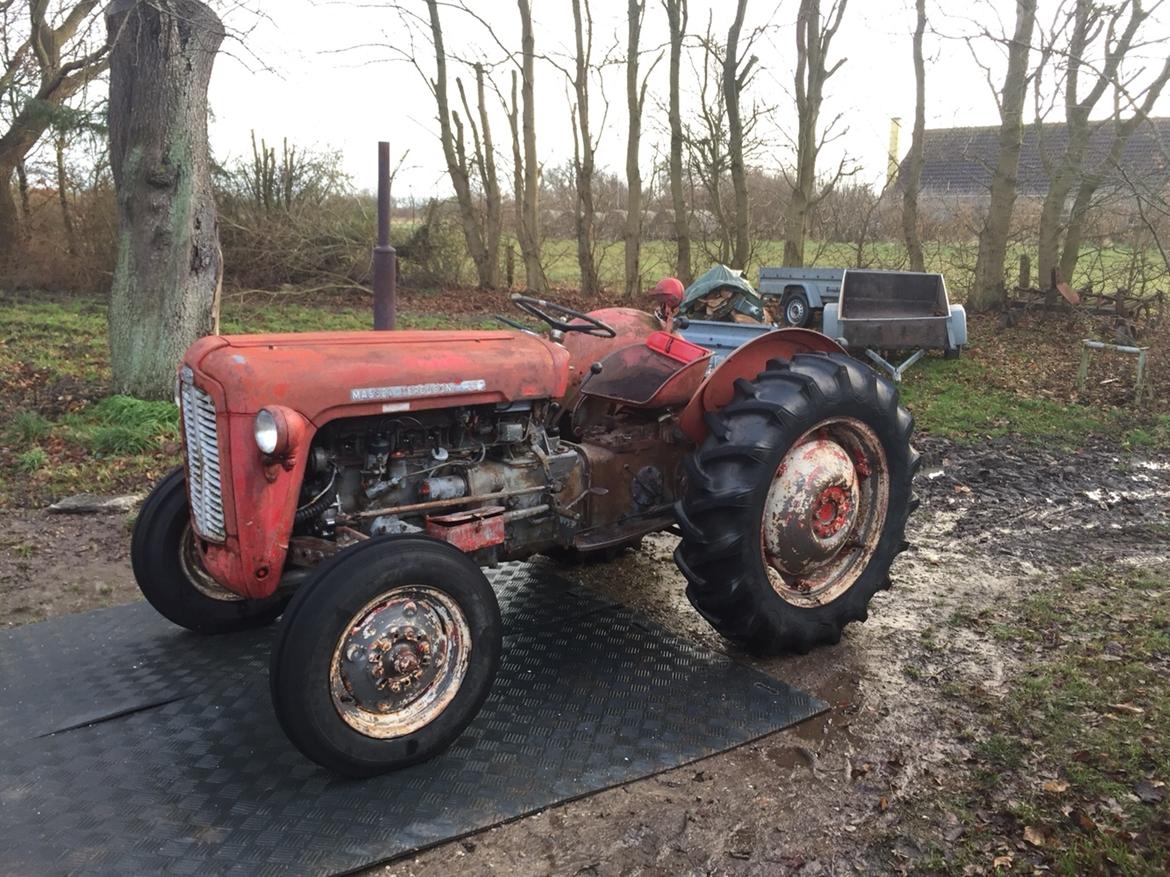 Massey Ferguson 35 Benzin billede 7