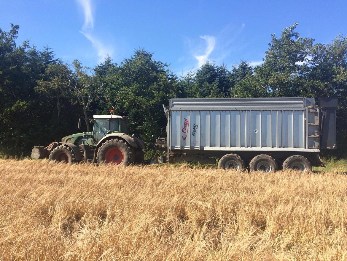 Fendt 828 - figell lånt af bdr. pedrsen maskinstation  billede 4