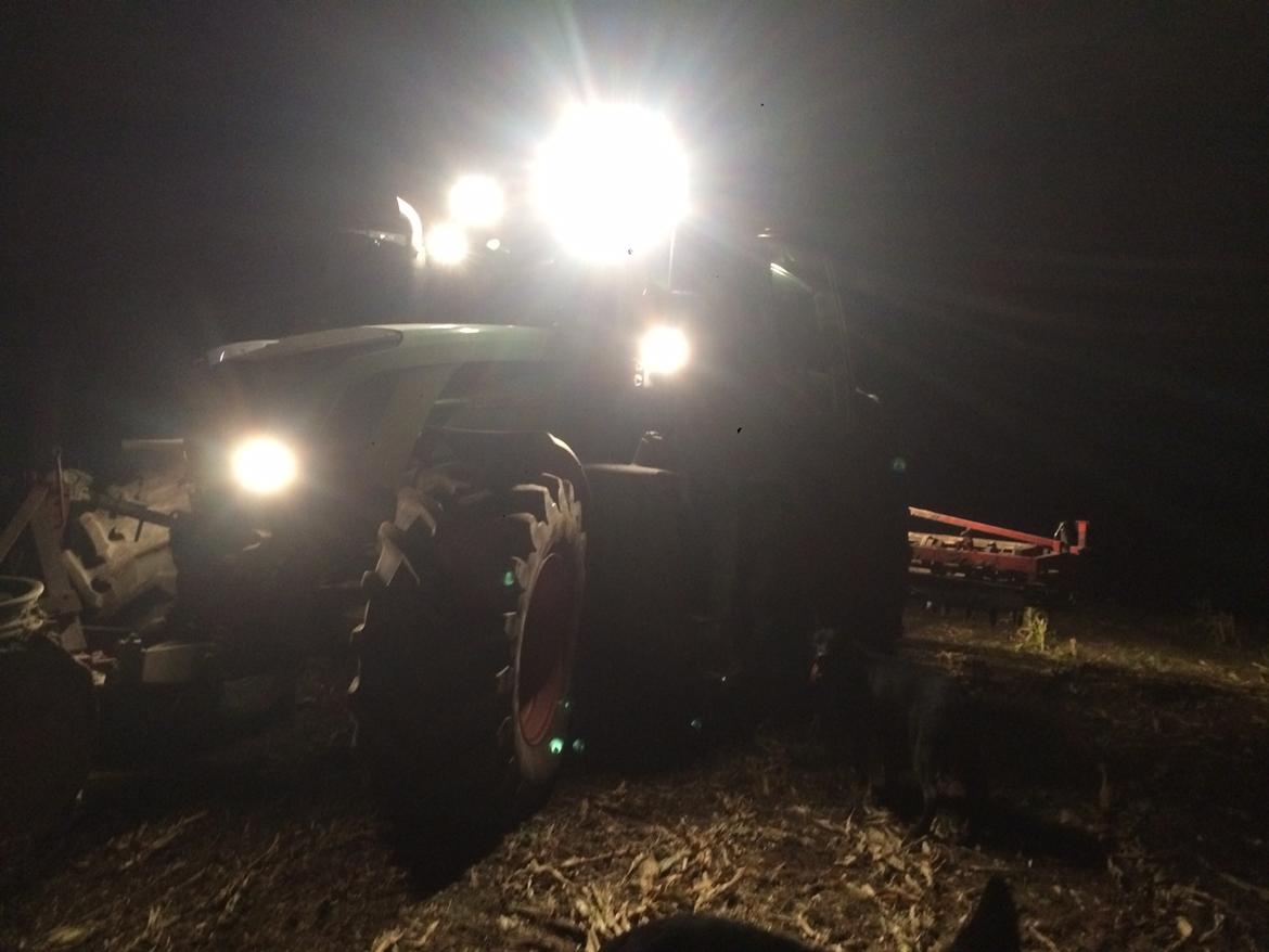 Fendt 828 - argodan krombiharve  billede 5