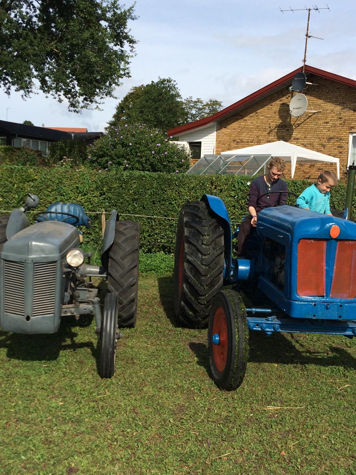 Fordson Fordson major diesel  E1ADDN billede 12