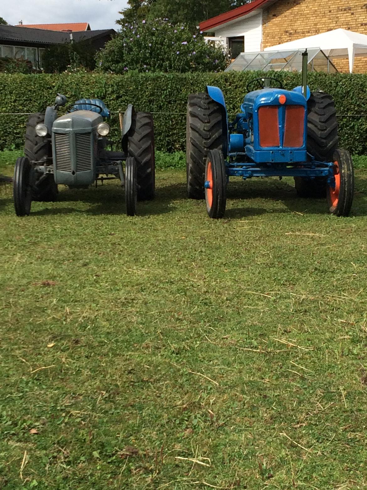 Fordson Fordson major diesel  E1ADDN - var lige ud og kør en tur med en ven og min lillebroer  billede 11